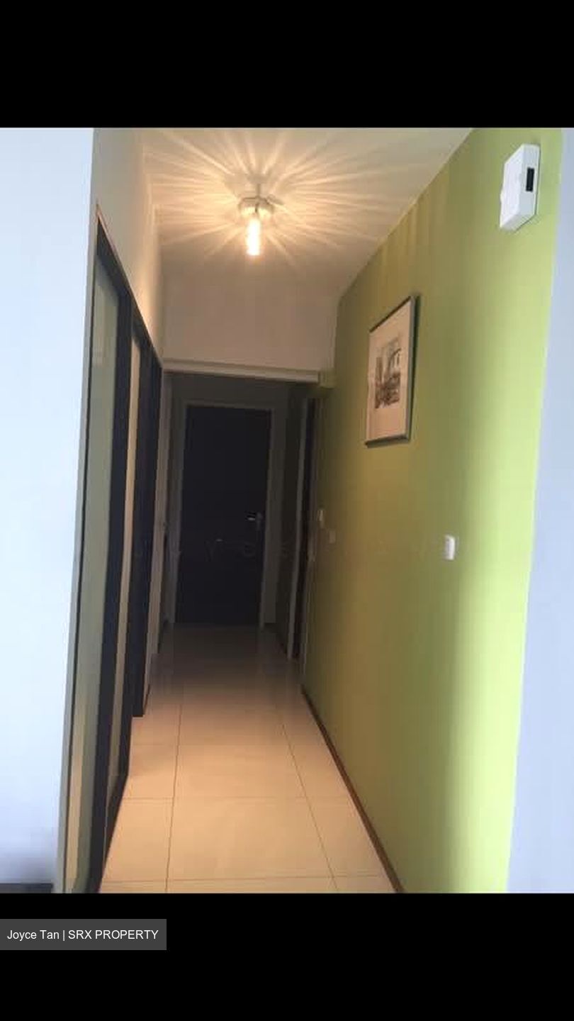 Blk 1 The Pinnacle@Duxton (Bukit Merah), HDB 4 Rooms #557924311